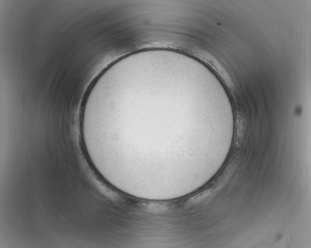 X0000116390890201001131827