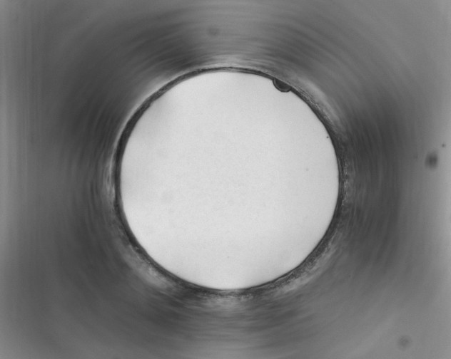 X0000116390892201001131827