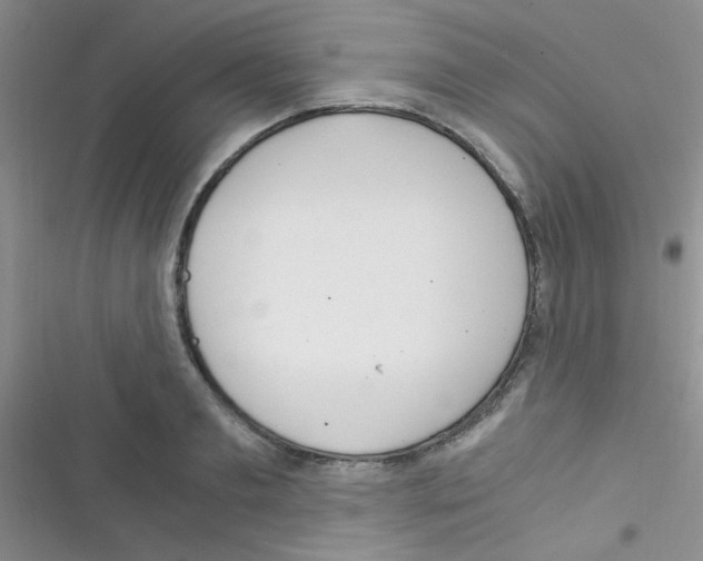 X0000116390893201001131827