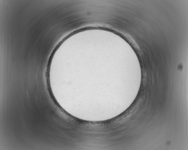 X0000116390895201001131827