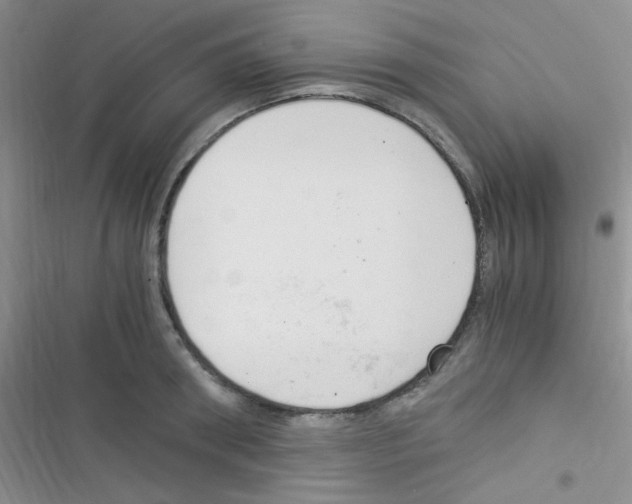 X0000116390898201001131827