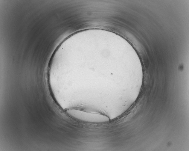 X0000116390899201001131827