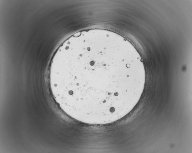 X0000116390900201001131827