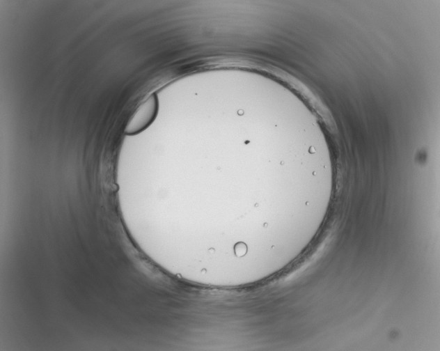 X0000116390905201001131827
