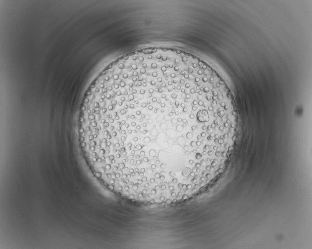 X0000116390906201001131827