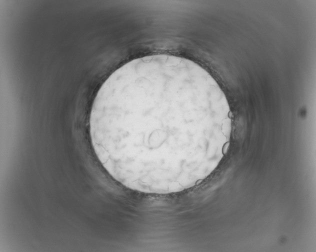 X0000116390913201001131826