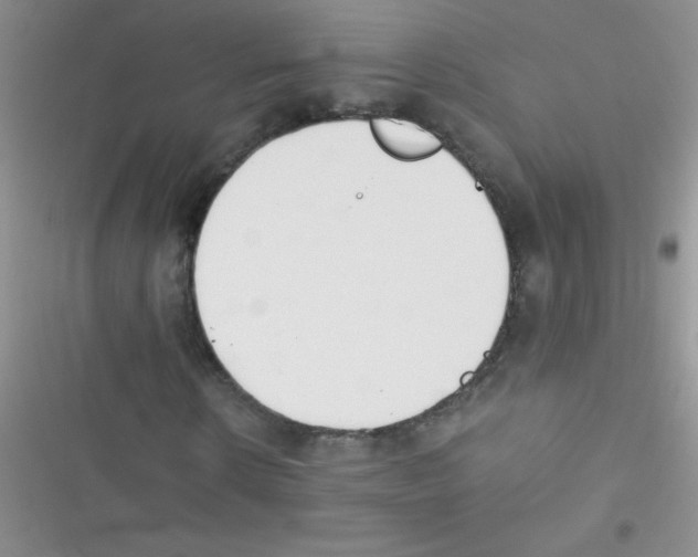 X0000116390914201001131826