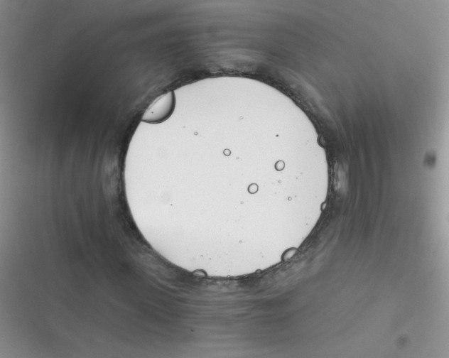 X0000116390915201001131826