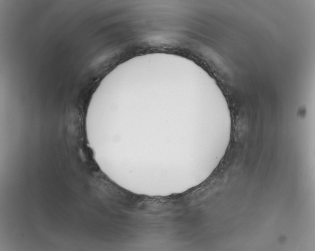 X0000116390917201001131826