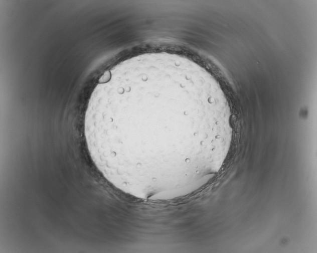 X0000116390919201001131826