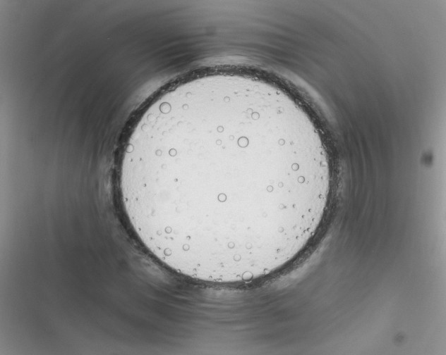 X0000116390921201001131827
