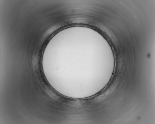 X0000116390922201001131827