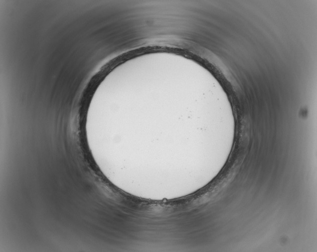 X0000116390923201001131827