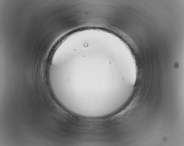 X0000116390926201001131827