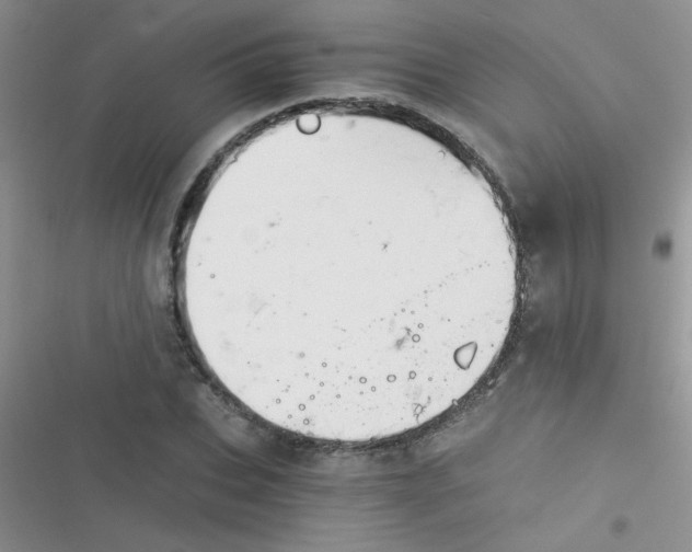 X0000116390927201001131827