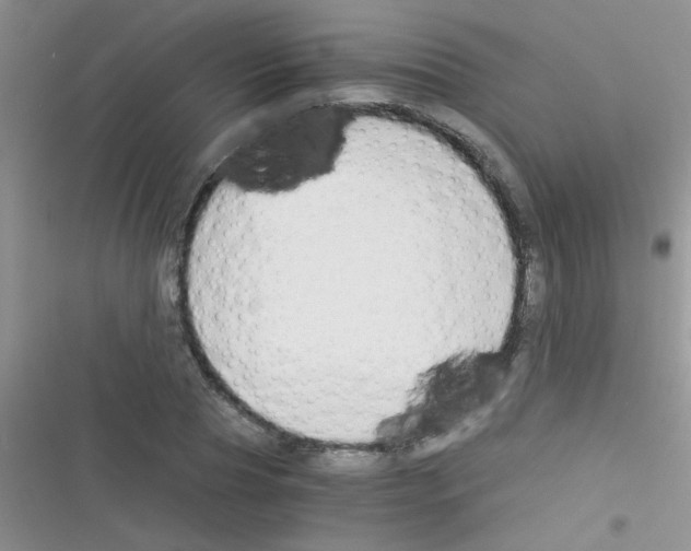 X0000116390929201001131827