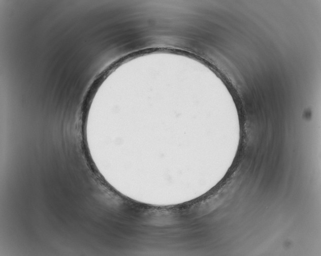 X0000116390931201001131827