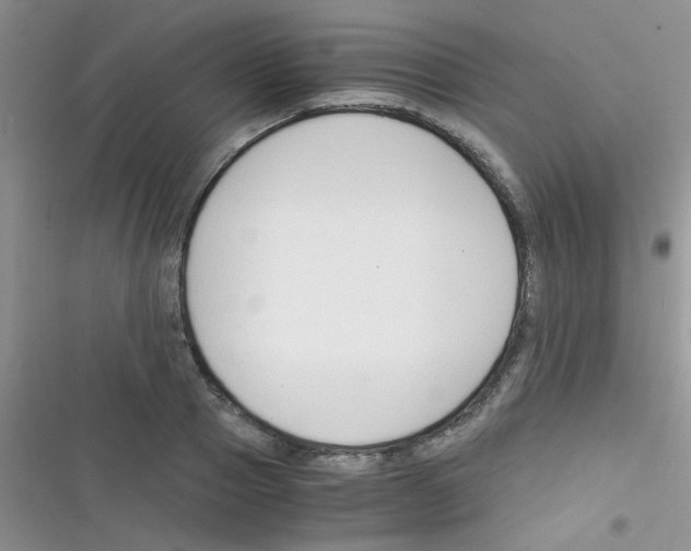 X0000116390937201001131827