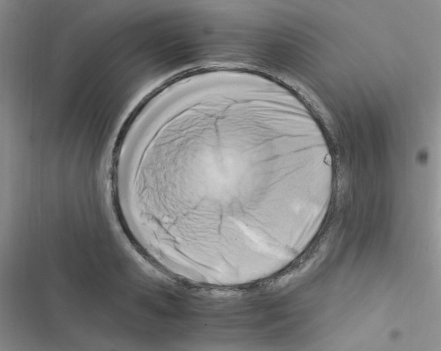 X0000116390941201001131827
