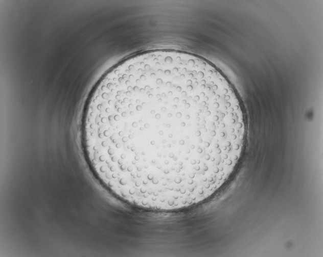X0000116390949201001131827