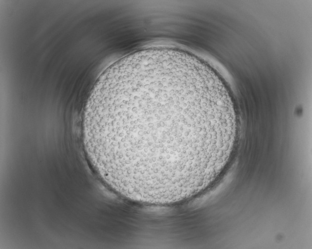 X0000116390953201001131827