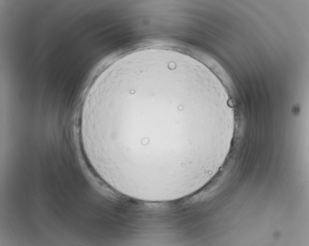 X0000116390954201001131827