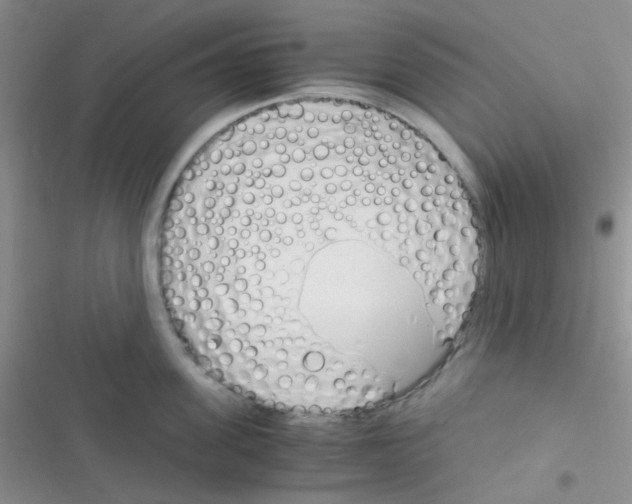 X0000116390955201001131827
