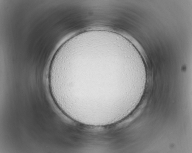 X0000116390957201001131827