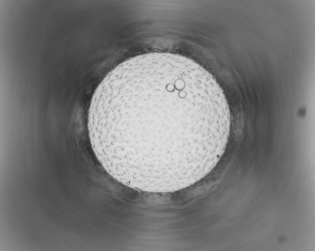 X0000116390962201001131826