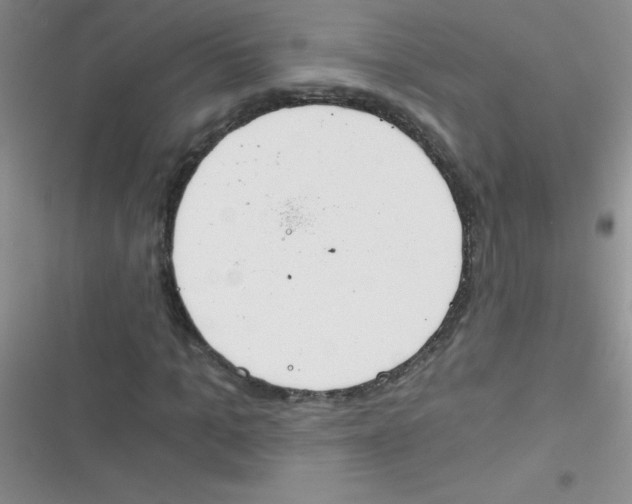 X0000116390965201001131826