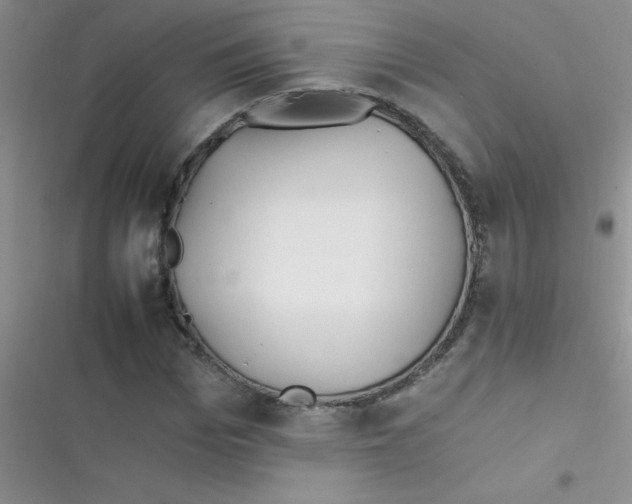 X0000116390969201001131826