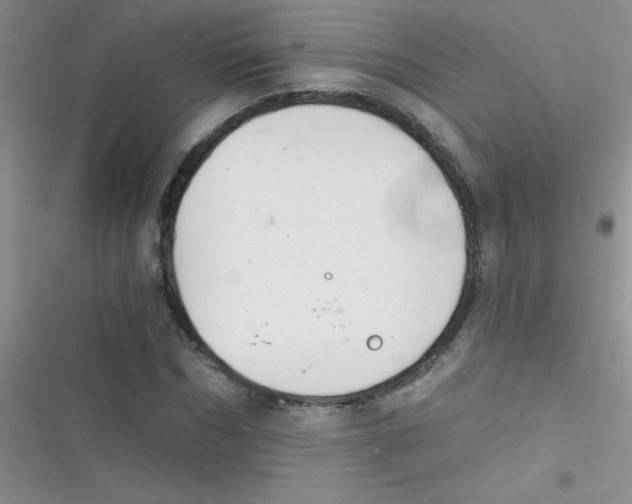 X0000116390970201001131826