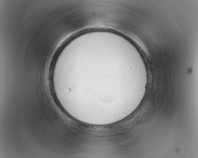X0000116390972201001131826