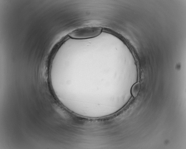 X0000116390973201001131826