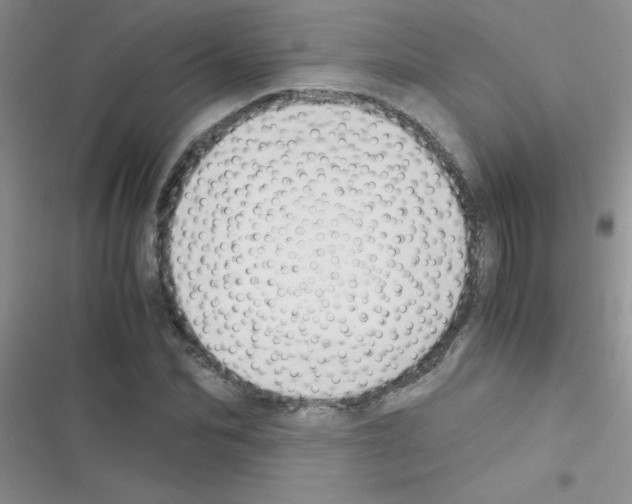 X0000116390974201001131826