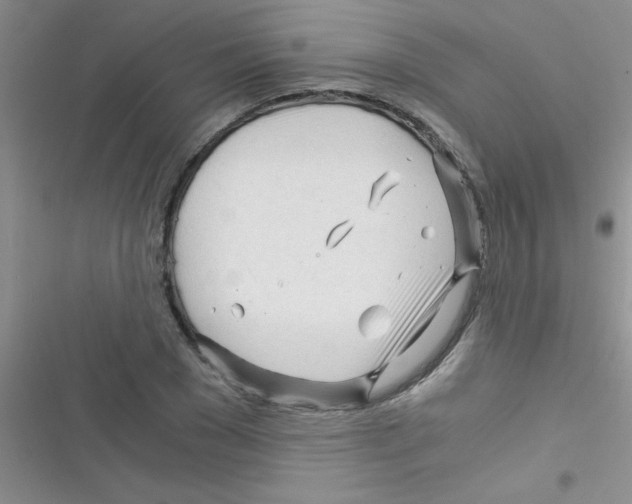 X0000116390977201001131826
