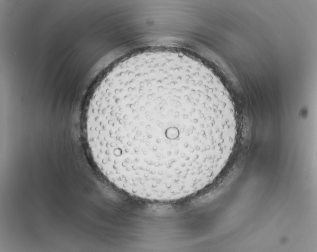 X0000116390978201001131826