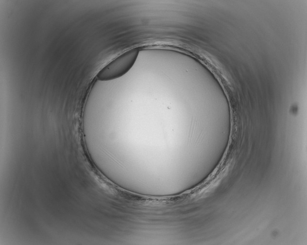 X0000116390985201001131826