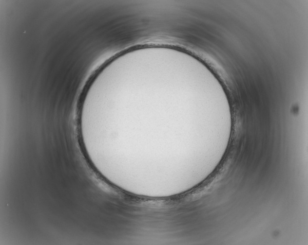 X0000116390990201001131826