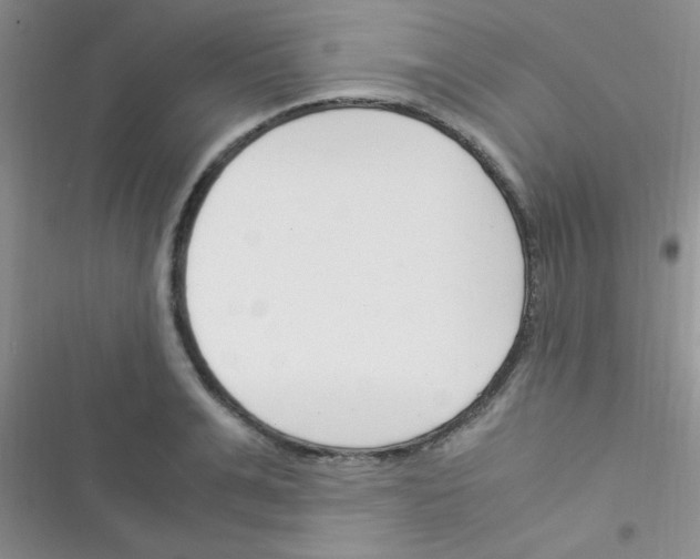 X0000116390991201001131826