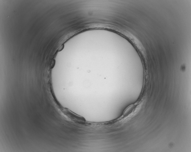 X0000116390993201001131826