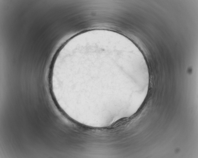 X0000116390995201001131826