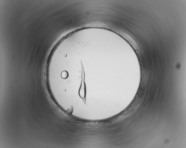 X0000116391000201001131826