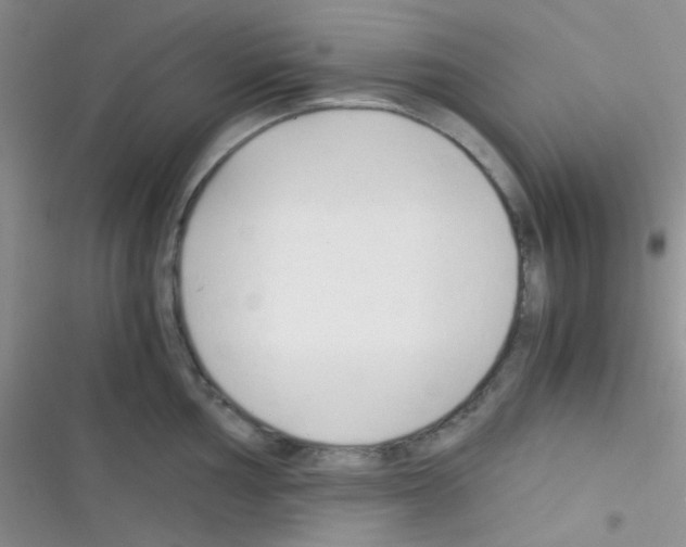 X0000116391002201001131826