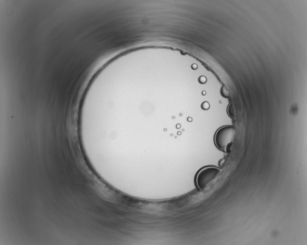 X0000116391004201001131826