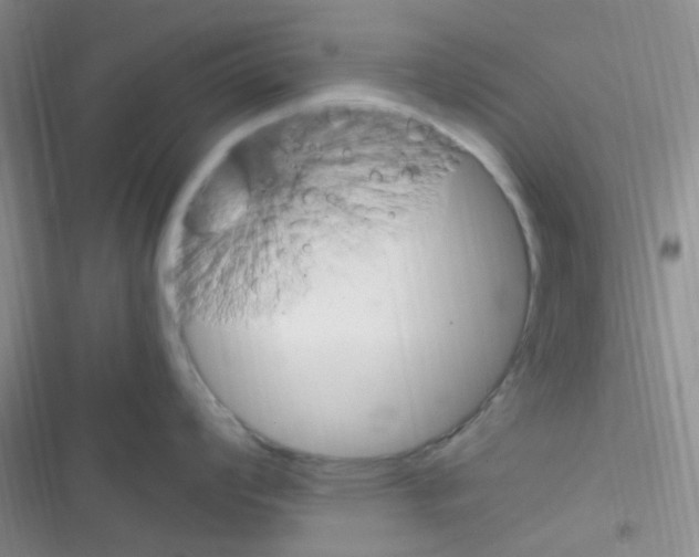 X0000116391008201001131826