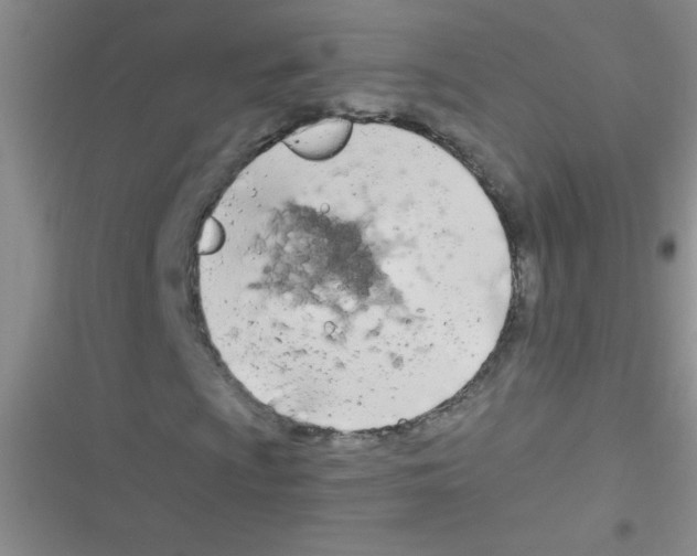 X0000116391009201001131825