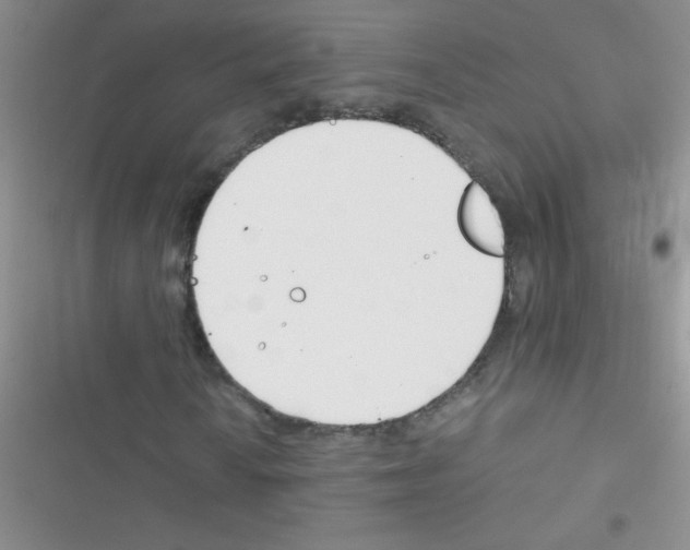 X0000116391010201001131825
