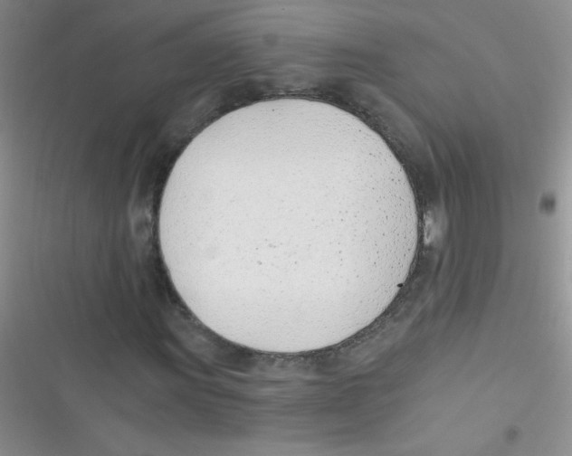X0000116391011201001131825