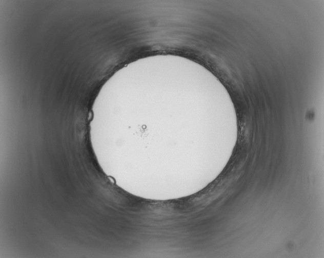 X0000116391012201001131825